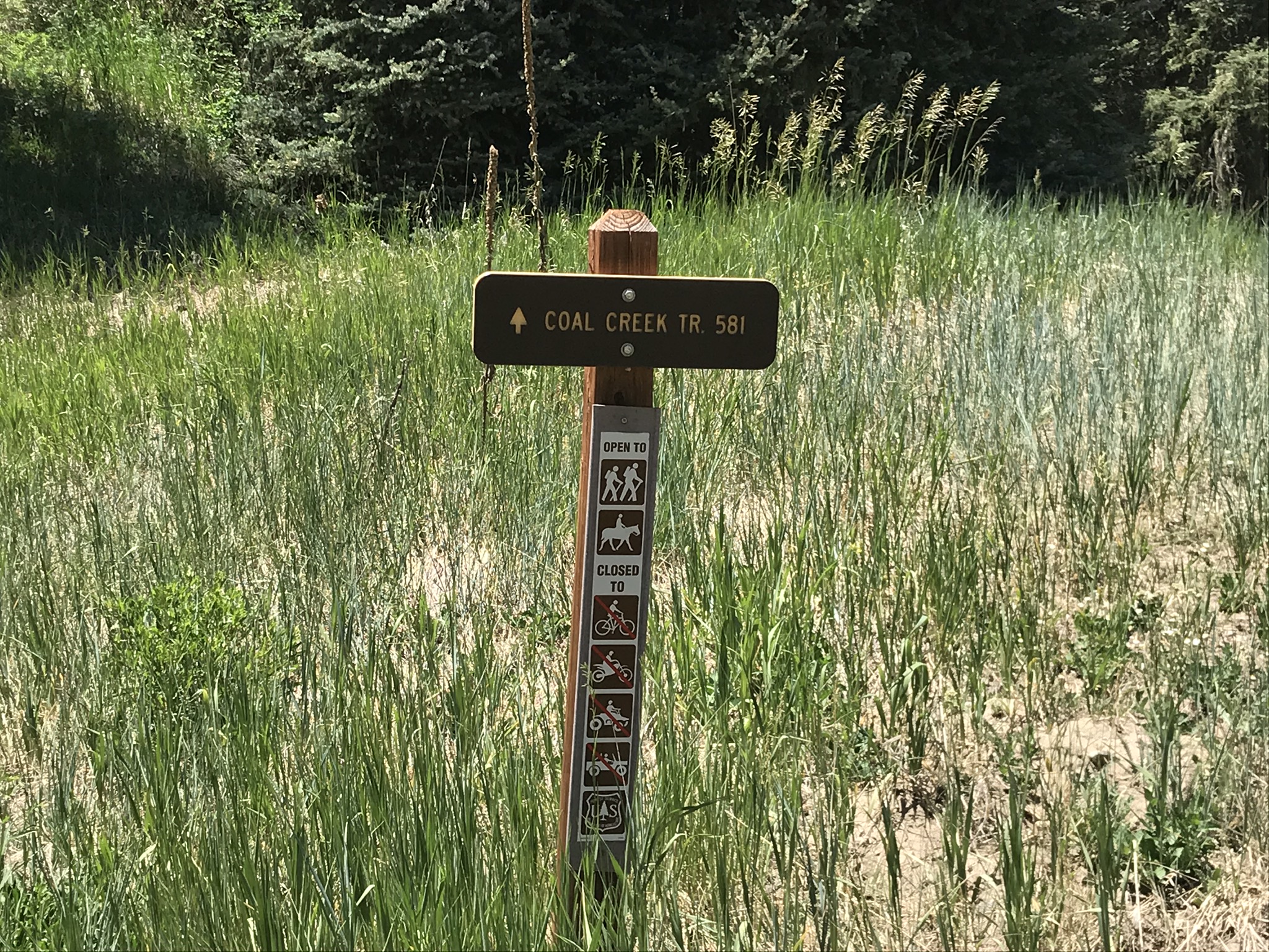 Coal Creek Trail Hike My Pagosa Springs