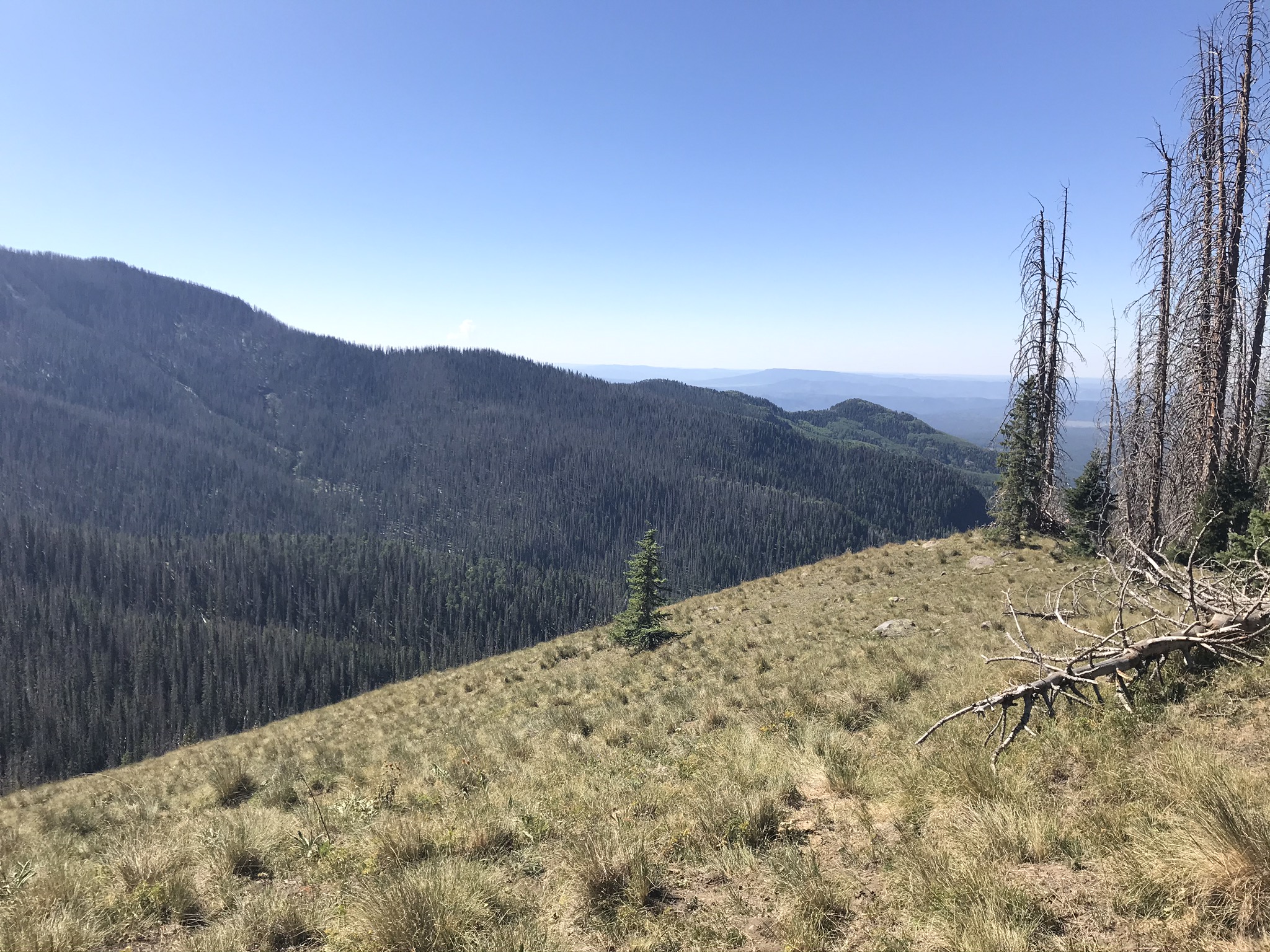 Coal Creek Trail Hike My Pagosa Springs