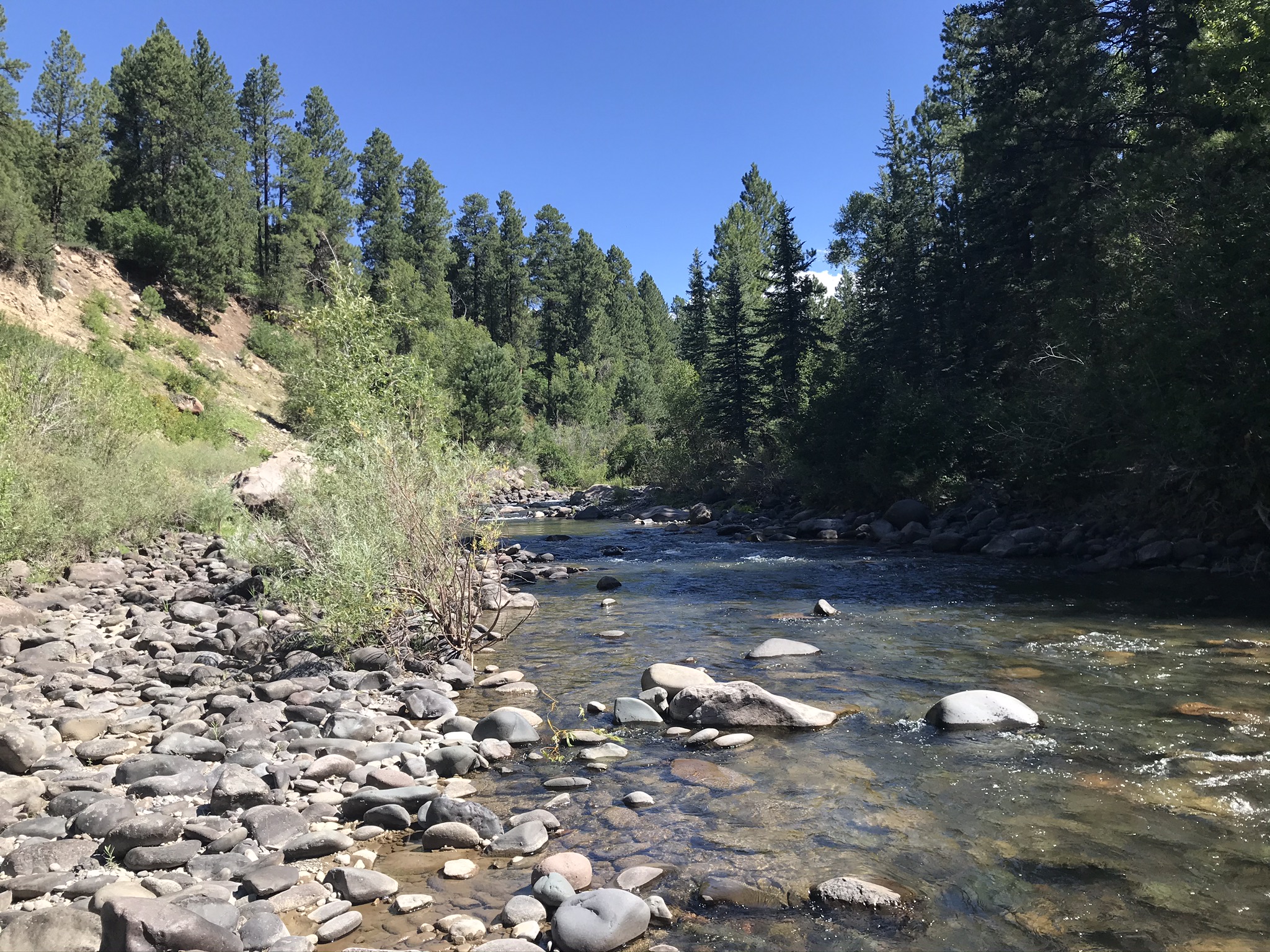 East Fork San Juan River Fishing - My Pagosa Springs