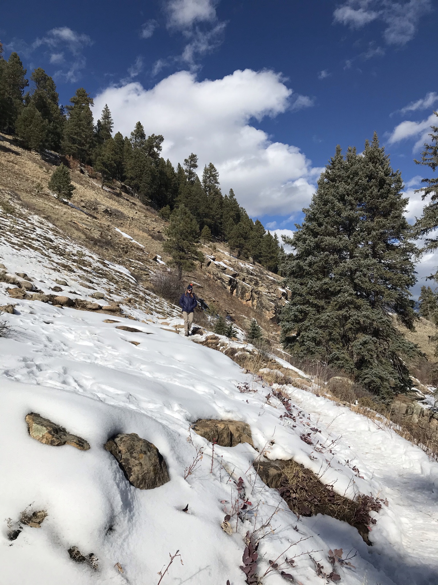 Piedra River Trail Hike - My Pagosa Springs