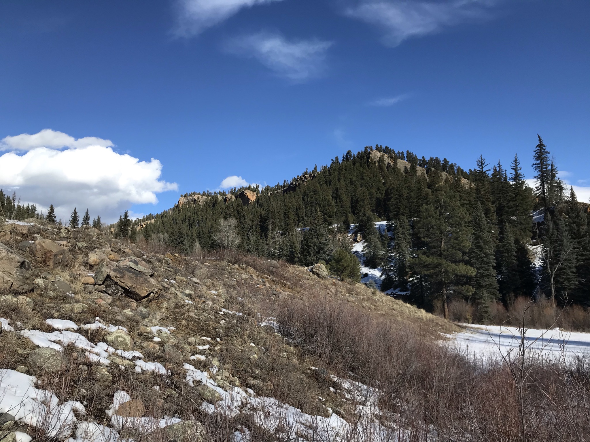 Piedra River Trail Hike - My Pagosa Springs