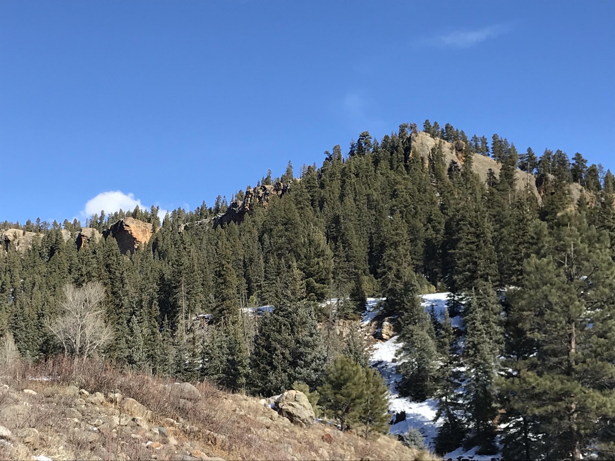 Piedra River Trail Hike - My Pagosa Springs