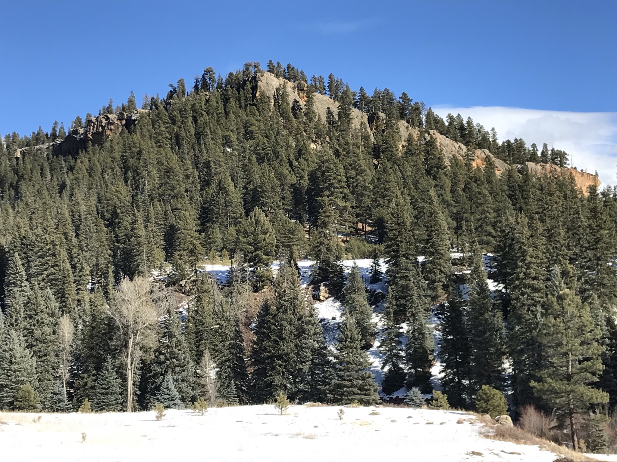 Piedra River Trail Hike - My Pagosa Springs