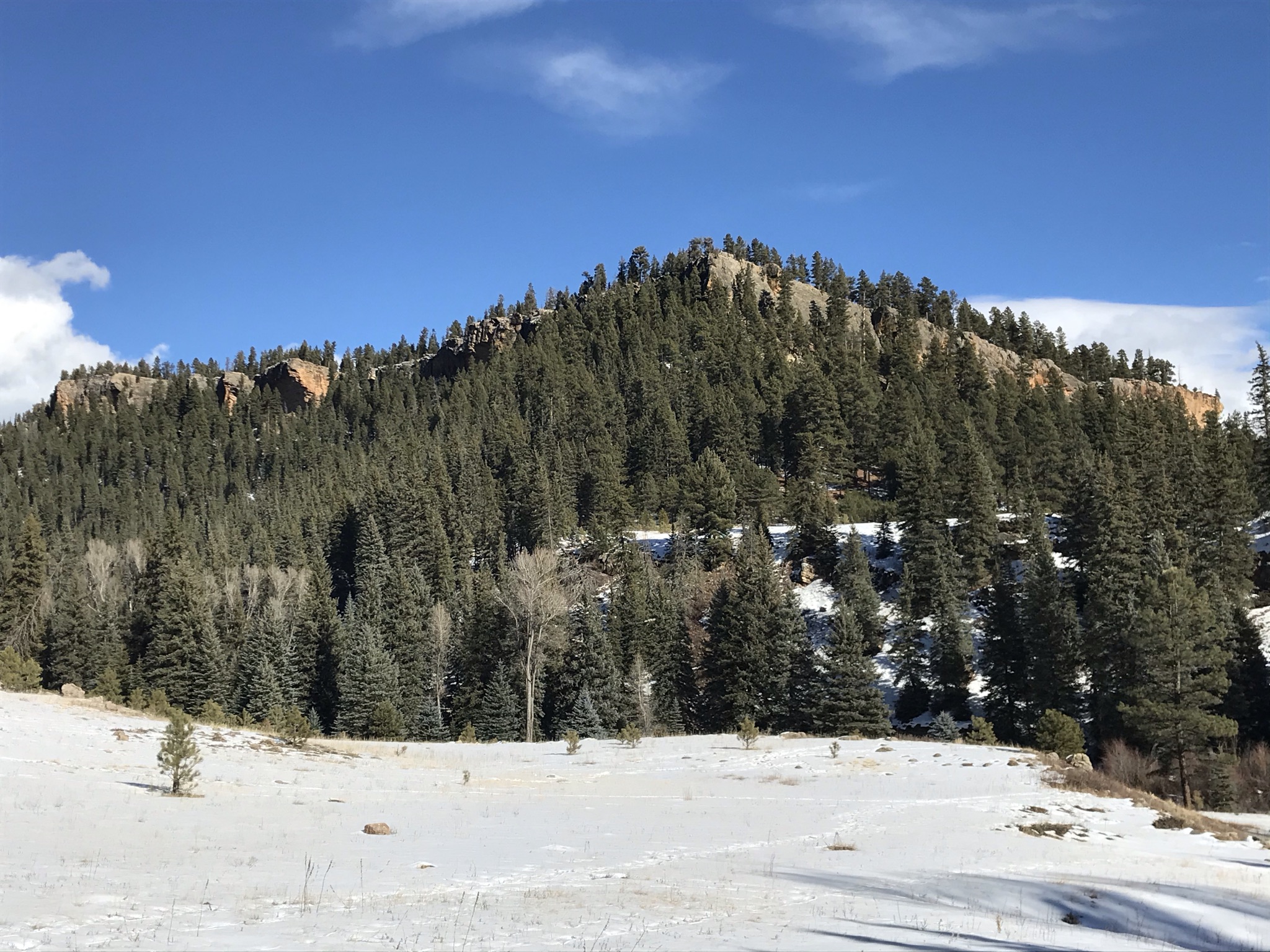 Piedra River Trail Hike - My Pagosa Springs