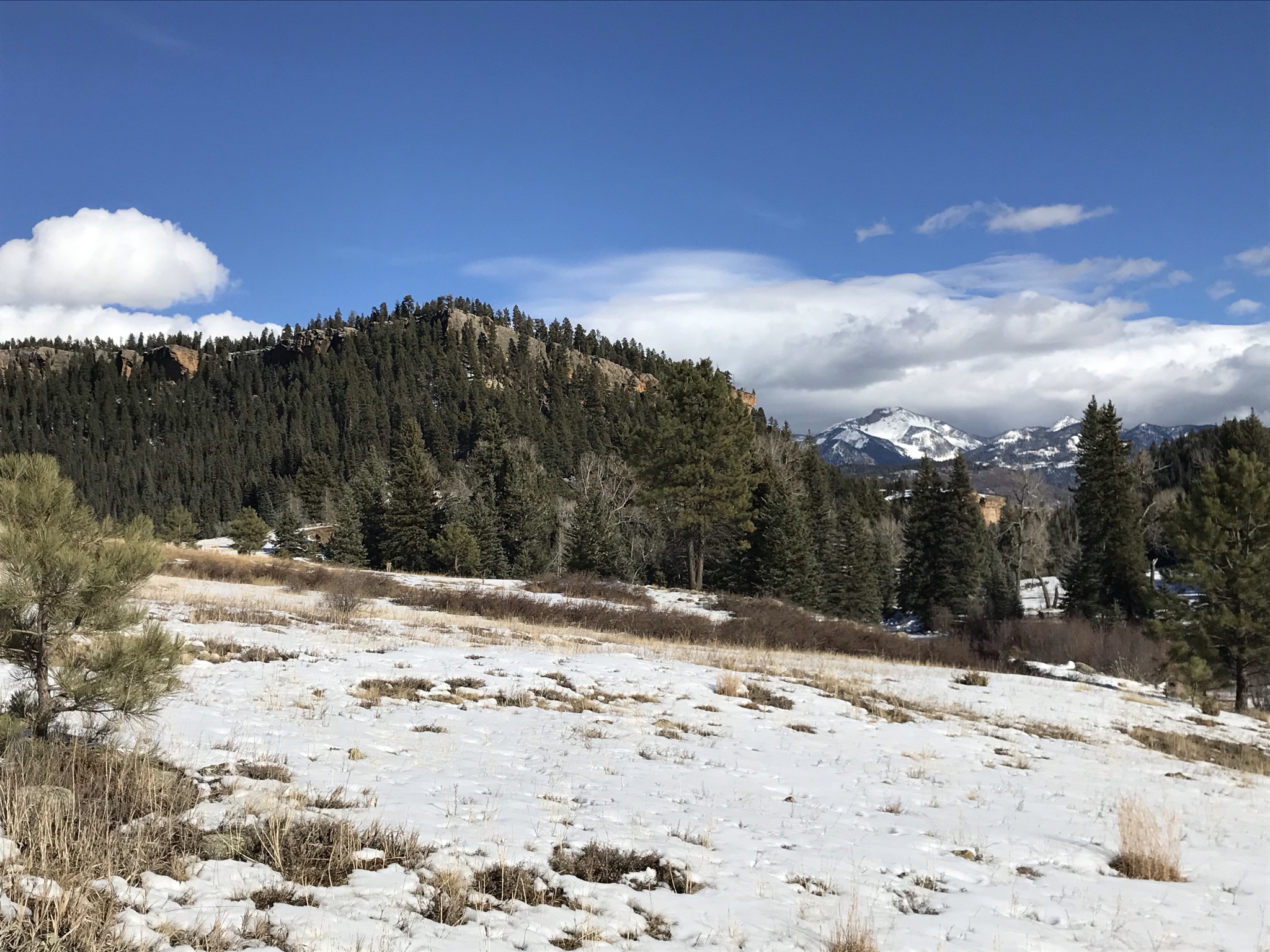 Piedra River Trail Hike - My Pagosa Springs