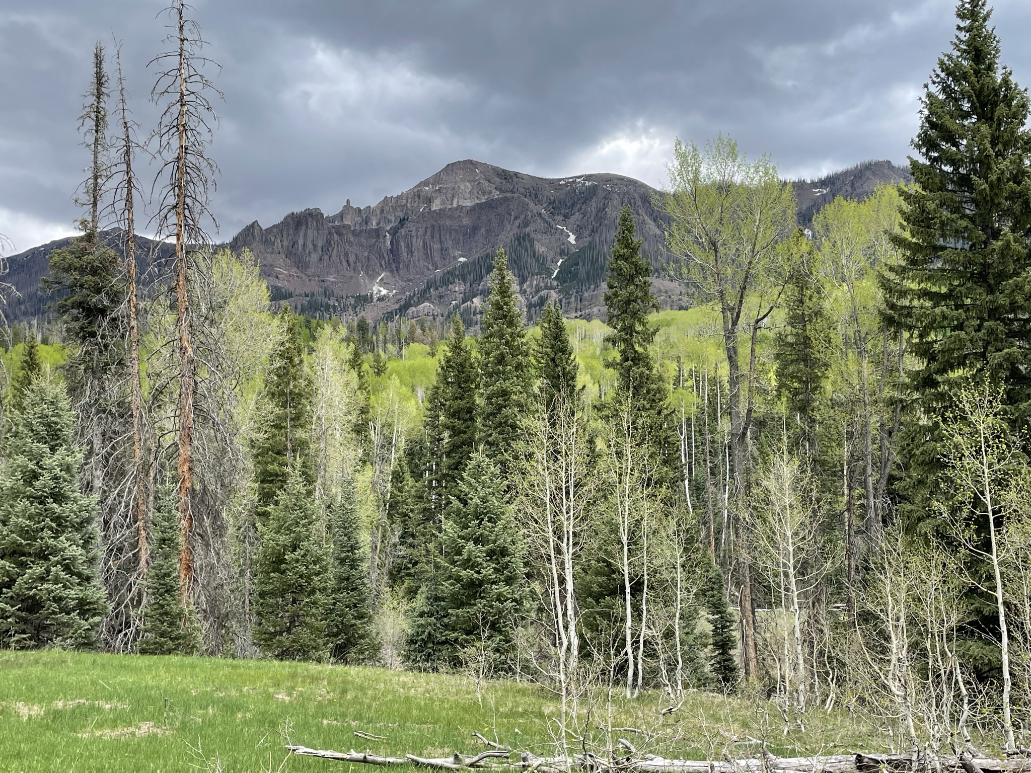 Labor Day Weekend Turkey Creek Hike - My Pagosa Springs