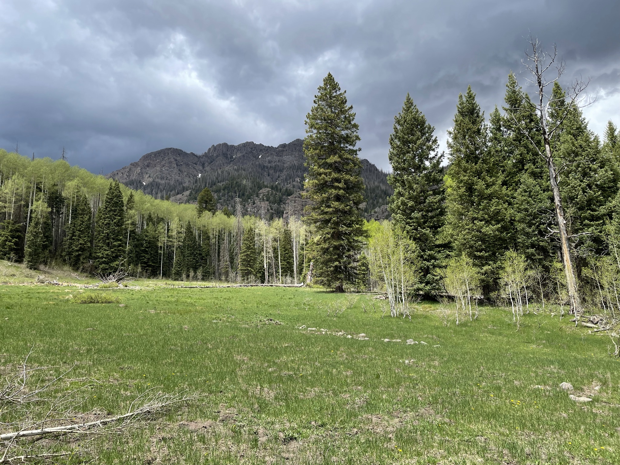 Turkey Creek Trail Hike - My Pagosa Springs